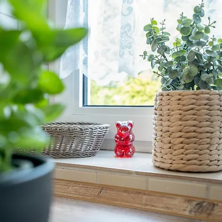 Ferienwohnpark Amselweg Peppersack Holiday home *